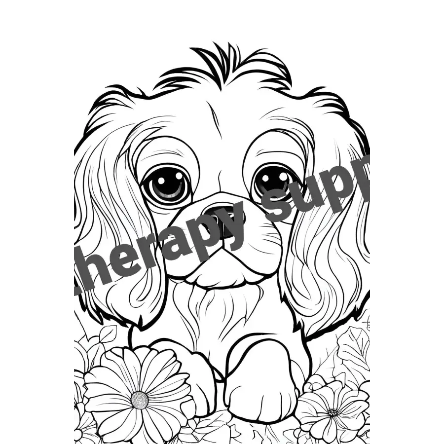 Cavalier King Charles Spaniel Coloring Book Digital