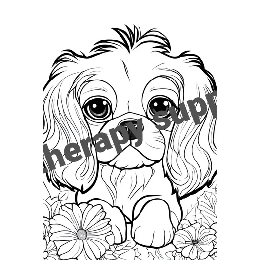 Cavalier King Charles Spaniel Coloring Book Digital