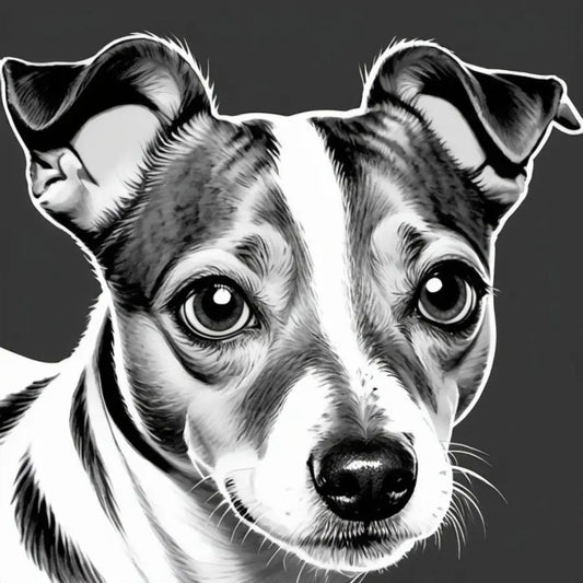 Jack Russell Realistic Coloring Digital Download 5 Pages