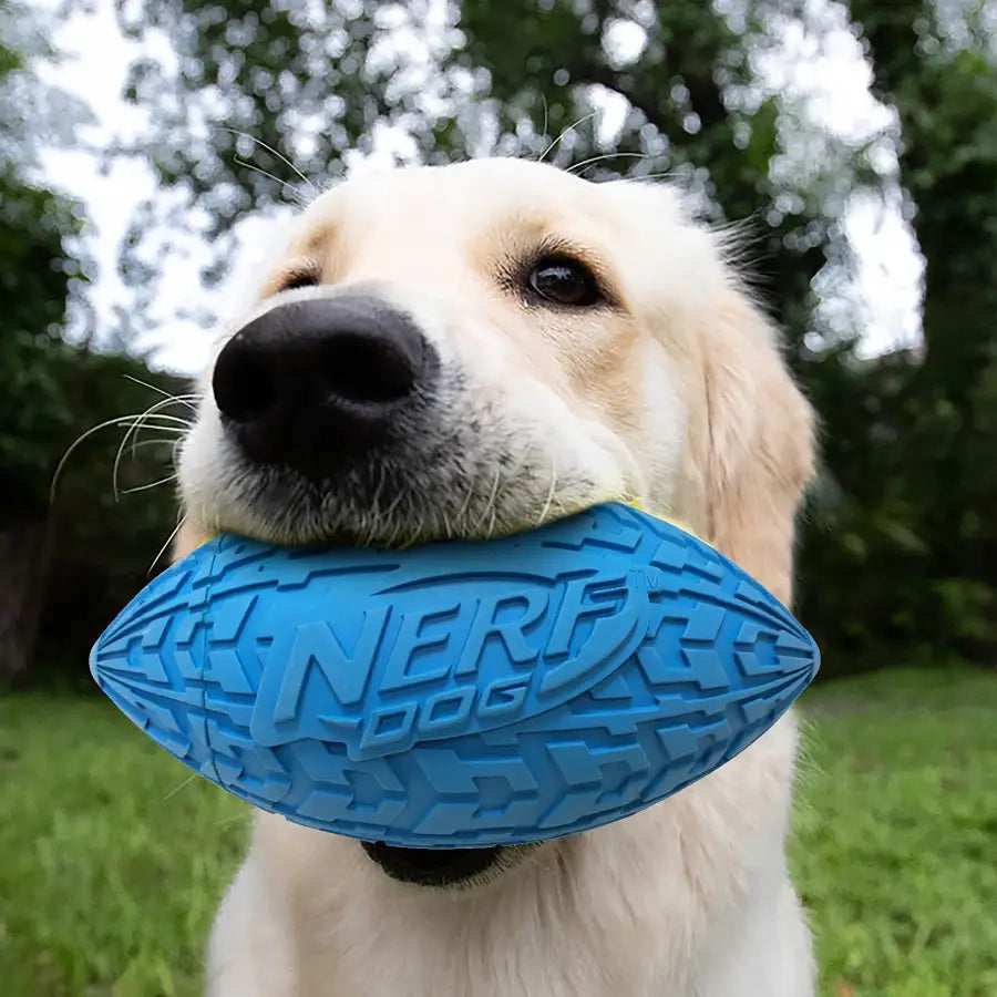 Nerf Dog Tire Football Dog Toy with Interactive Squeaker